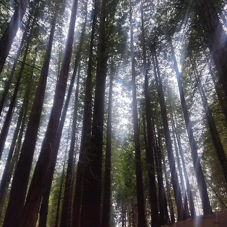 Apartament Playa Y Montana *