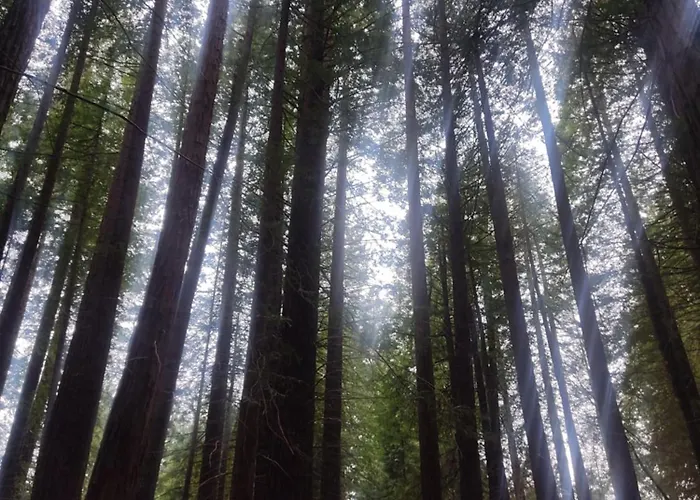 Apartament Playa Y Montana *